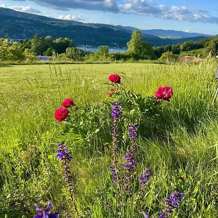 Danny's Wörtherseeblick Apartment